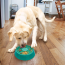 KONG Licks Spinz Treat Mat Large