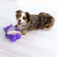 KONG Snuzzles Hippo Dog Toy X-Large