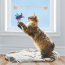 KONG CAT Connects Glow Firefly Toy