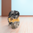 KONG Snuzzles Mini Llama Dog Toy X-Small