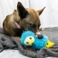 KONG Toughz Dodo Dog Toy Medium