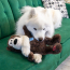 KONG Wild Knots Bear (Assorted Colors) Dog Toy Jumbo