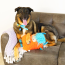 KONG Comfort Jumbo Highland Cow Assorted Dog Toy X-Large
