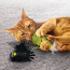 KONG CAT Flingaroo Corny Toy