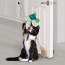 KONG CAT Connects Angler Door Teaser Toy