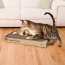 KONG CAT Naturals Pop-Up Incline Scratcher