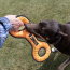 KONG Armor Double Tug (Assorted Colours) Dog Toy Large