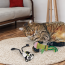 KONG CAT Scrattles Panda& Bamboo 2pk Toy
