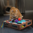 KONG CAT Playground Pool Table