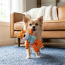 KONG Floppy Knots Fox Dog Toy X-Small