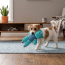 KONG Floppy Knots Hippo Dog Toy X-Small