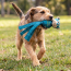 KONG Wubba Ballistic Friend (Assorted) Dog Toy Large