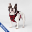 CPL Canada Pooch Everything Harness Red Small (20)