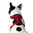 CPL Canada Pooch Everything Harness Red Small (20)