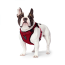 CPL Canada Pooch Everything Harness Red Large (20)