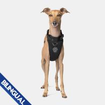 CPL Canada Pooch Everything Harness Black Small (20)