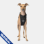 CPL Canada Pooch Everything Harness Black Medium (20)