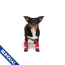 CPL Canada Pooch F&W Soft Shield Boot 4pk Red SZ 3