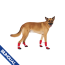 CPL Canada Pooch F&W Soft Shield Boot 4pk Red SZ 5