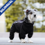 CPL Canada Pooch F&W Snowsuit Black SZ 20