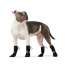 CPL Canada Pooch F&W Soft Shield Boot 4pk Black Reflect SZ 4