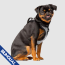 CPL Canada Pooch Everything Harness Reflective Mesh Small