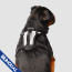 CPL Canada Pooch Everything Harness Reflective Mesh Medium