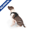 CPL Canada Pooch Complete Control Harness Black Small (20)