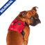 CPL Canada Pooch Complete Control Harness Red Large (20)