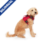CPL Canada Pooch Complete Control Harness Red X-Large (20)