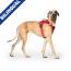 CPL Canada Pooch Complete Control Harness Red X-Large (20)