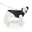 CPL Canada Pooch S&S Raincoat Harness Black SZ 20
