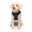 CPL Canada Pooch Easy-On Step-In Harness Black Small (20)
