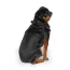 CPL Canada Pooch Easy-On Step-In Harness Plum Medium (20)