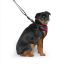 CPL Canada Pooch Easy-On Step-In Harness Plum Large (20)