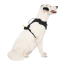 CPL Canada Pooch Everything Harness w/Poop Dispnser Black L