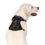 CPL Canada Pooch Everything Harness w/Poop Dispnser Black XL