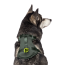 CPL Canada Pooch Everything Harness w/Poop Dispnser Green M
