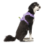 CPL Canada Pooch Everything Harness w/Poop Dispnser Lvndr S