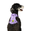CPL Canada Pooch Everything Harness w/Poop Dispnser Lvndr M