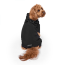 CPL Canada Pooch F&W Harness Snowsuit Black SZ 12