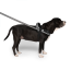 CPL Canada Pooch Re-Direct Harness Black/Grey Small (20)
