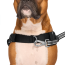CPL Canada Pooch Re-Direct Harness Black/Grey Large (20)