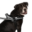 CPL Canada Pooch Re-Direct Harness Black/Grey X-Large (20)