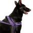 CPL Canada Pooch Re-Direct Harness Purpl/Lvdnr Large (20)