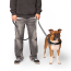 CPL Canada Pooch Seamless Knit Leash Black/Grey One Size(25)