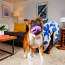 CPL WAGLAB The Squiggle Purple Large Toy (16)