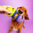 CPL WAGLAB The 2-Pack Multi Small Toy (8)