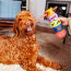 CPL WAGLAB The 2-Pack Multi Large Toy (8)