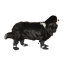 CPL Canada Pooch F&W Soft Shield Boot 4pk Reflect SZ 1